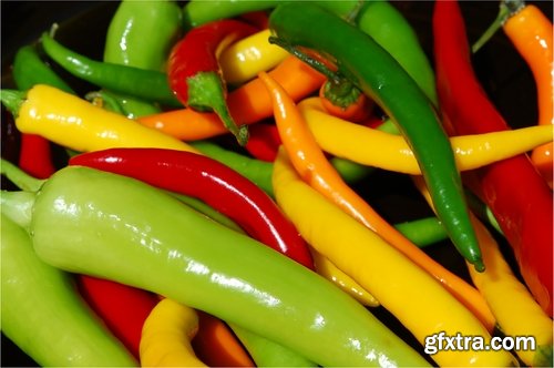 Collection of chilli peppers Bulgarian red yellow spices 25 HQ Jpeg