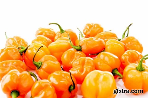 Collection of chilli peppers Bulgarian red yellow spices 25 HQ Jpeg