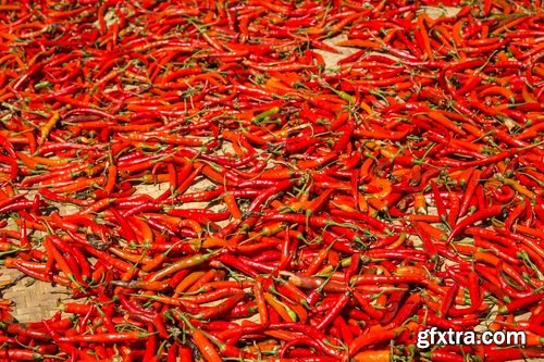 Collection of chilli peppers Bulgarian red yellow spices 25 HQ Jpeg