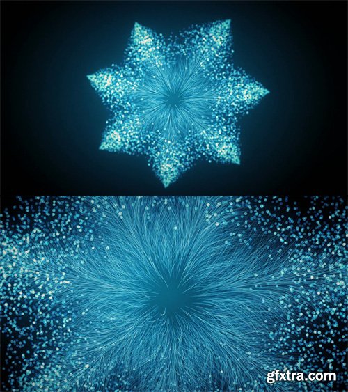 Moving Through 3D Frost Flower on Deep Blue Background Animation