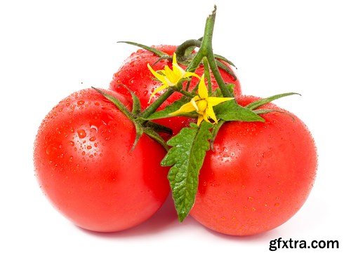 Tasty tomatoes - 47xUHQ JPEG