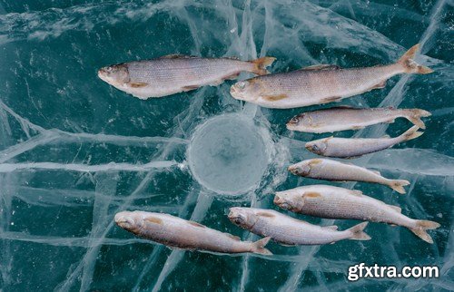 Winter fishing - 24 UHQ JPEG