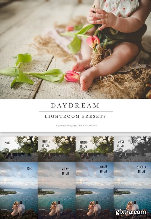 Twig & Olive Photography - Daudream Lightroom Presets