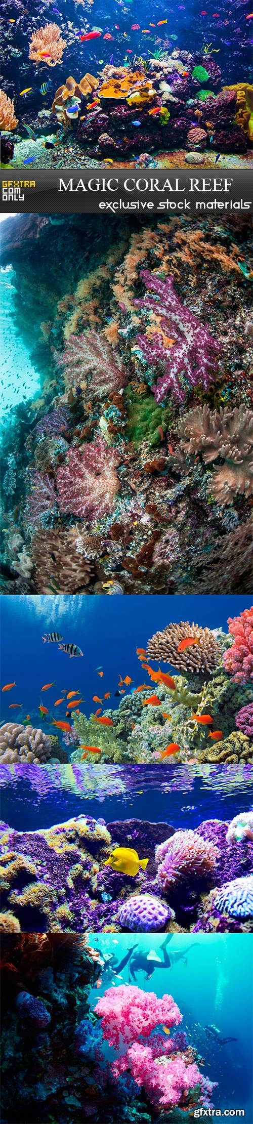 Magic coral reef - 5UHQ JPEG