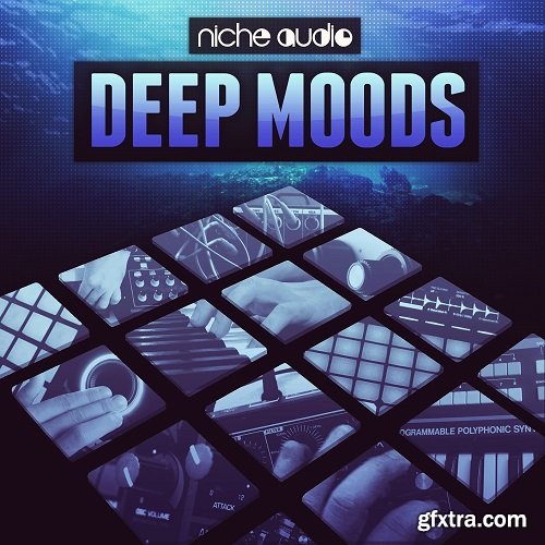 Niche Audio DeepMoods for Maschine 2-TZG