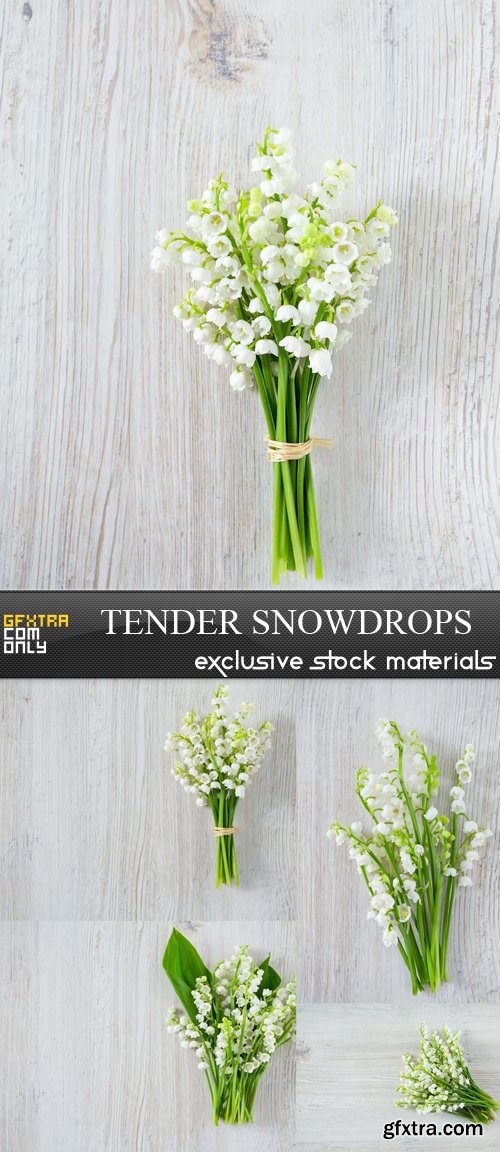 Tender Snowdrops - 5 UHQ JPEG