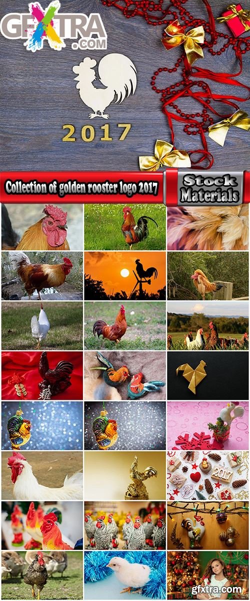 Collection of golden rooster logo 2017 new year 25 HQ Jpeg