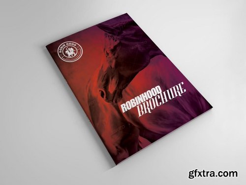 Graphicriver Brochure 10311756