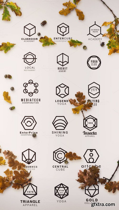 CM - 150+ Minimal Hexagon Logo Templates 1084028