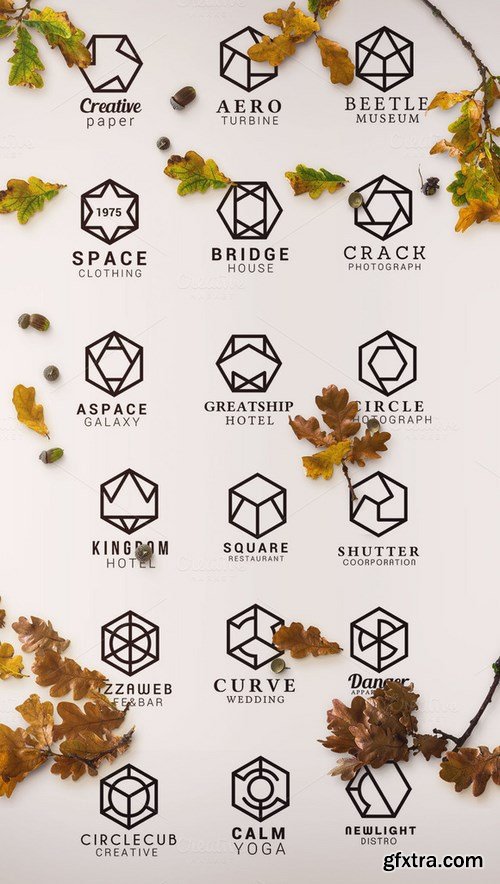 CM - 150+ Minimal Hexagon Logo Templates 1084028