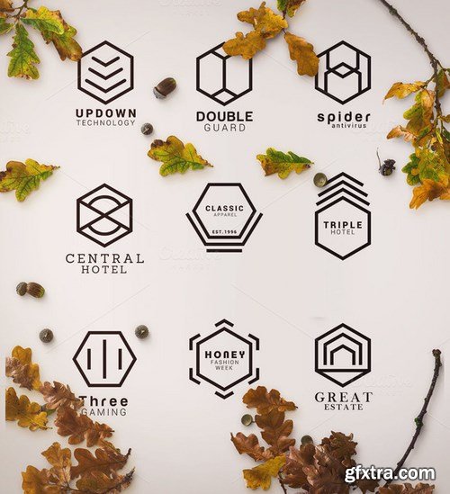 CM - 150+ Minimal Hexagon Logo Templates 1084028