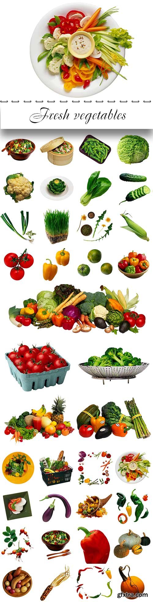 Fresh vegetables proper nutrition