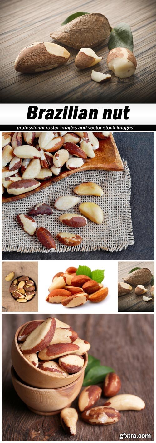 Brazilian nut - 5 UHQ JPEG