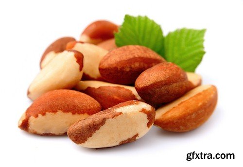 Brazilian nut - 5 UHQ JPEG