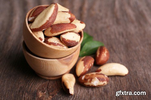 Brazilian nut - 5 UHQ JPEG