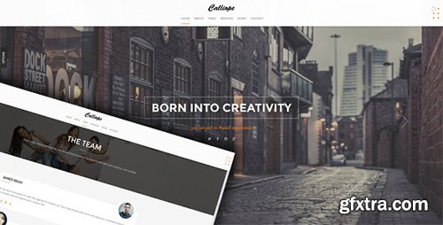 ThemeForest - Calliope v1.0 - Clean Responsive HTML5 Template - 6961704