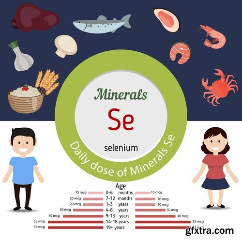 Minerals infographics - 9 EPS