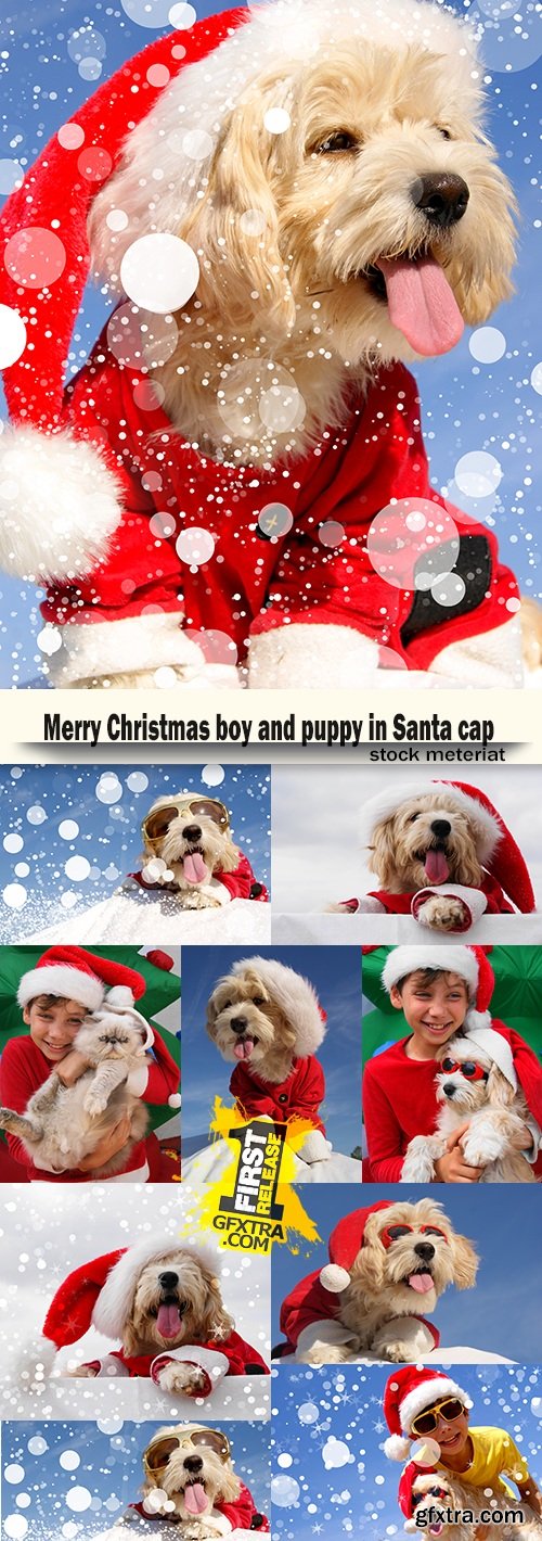 Merry Christmas boy and puppy in Santa cap