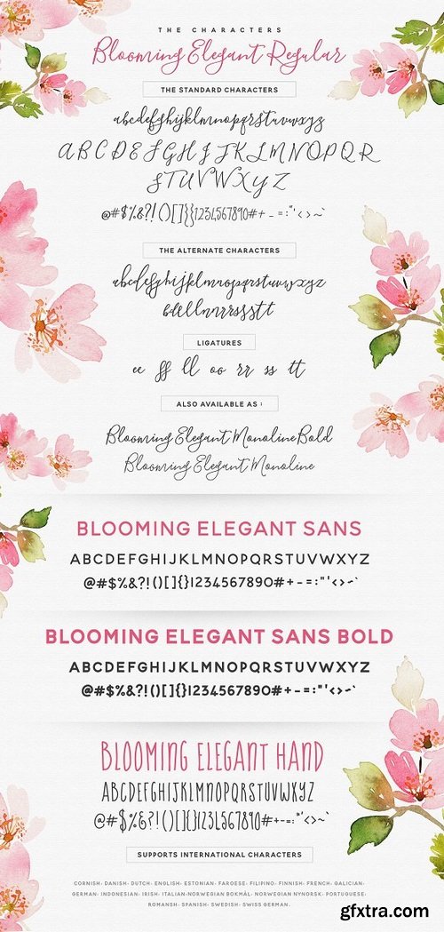 CM - The Blooming Elegant Font Trio 537891