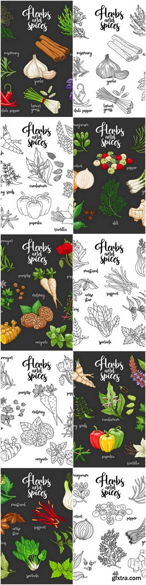 Vegetables and spices - 10 EPS Vector Stock