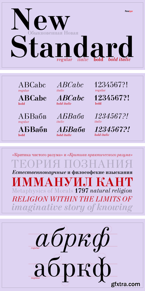 New Standard Font Family