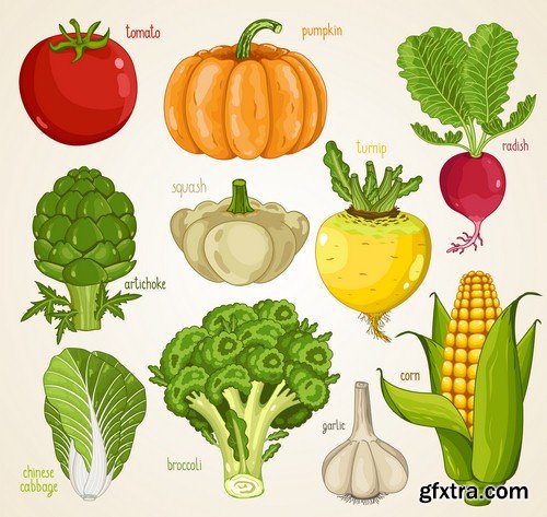 Set of vegetables - 6 EPS