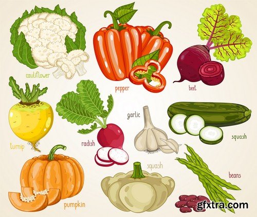 Set of vegetables - 6 EPS