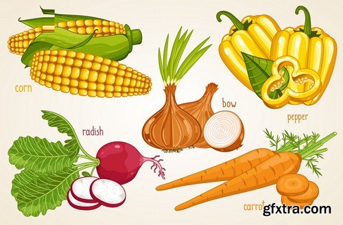 Set of vegetables - 6 EPS