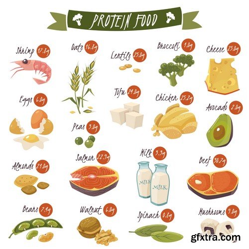 Protein food - 5 EPS