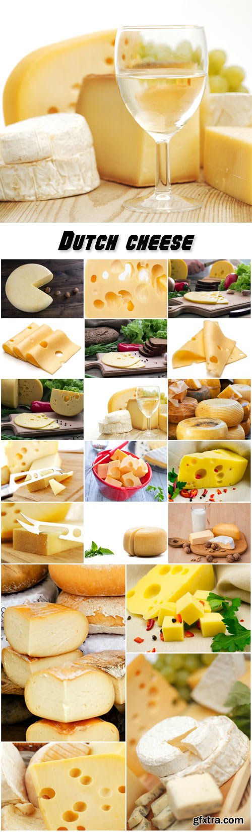 Collection of dairy products, fresh cheese