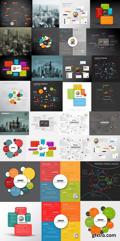 Vector Company infographic overview design template