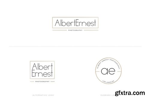 CreativeMarket Maleboss Premade Branding Logo Pack 1097423