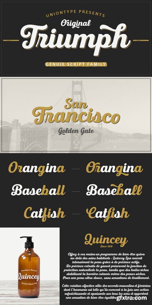 UT Triumph Font Family $71