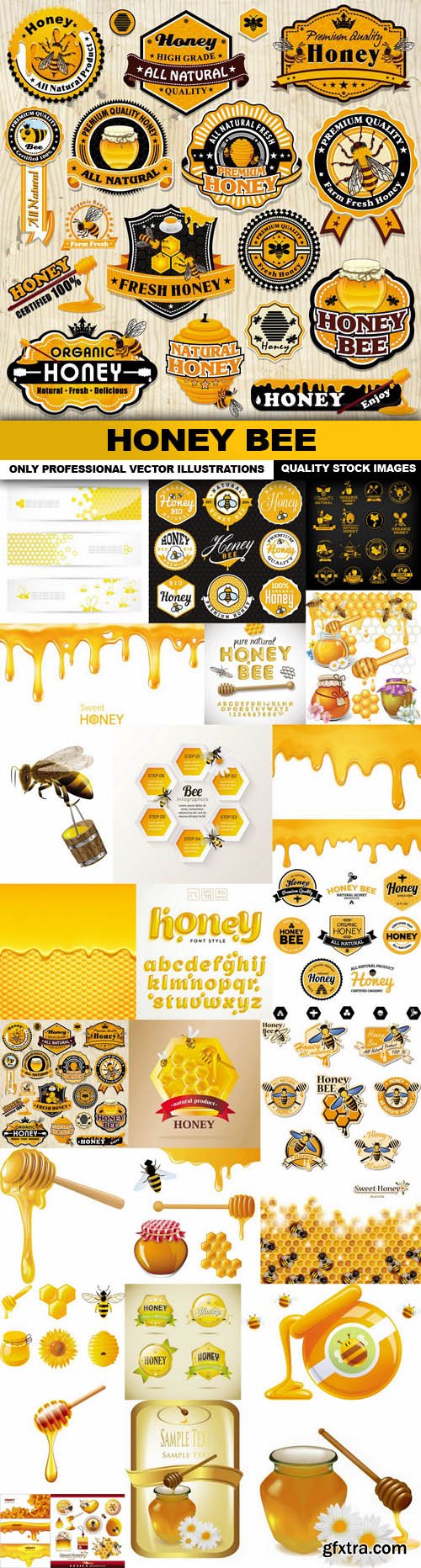 Honey Bee - 26 Vector