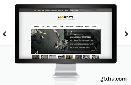 ElegantThemes - Aggregate v3.6.6 - WordPress Theme