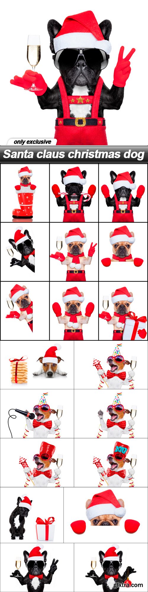 Santa claus christmas dog - 20 UHQ JPEG