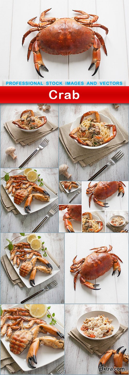 Crab - 9 UHQ JPEG