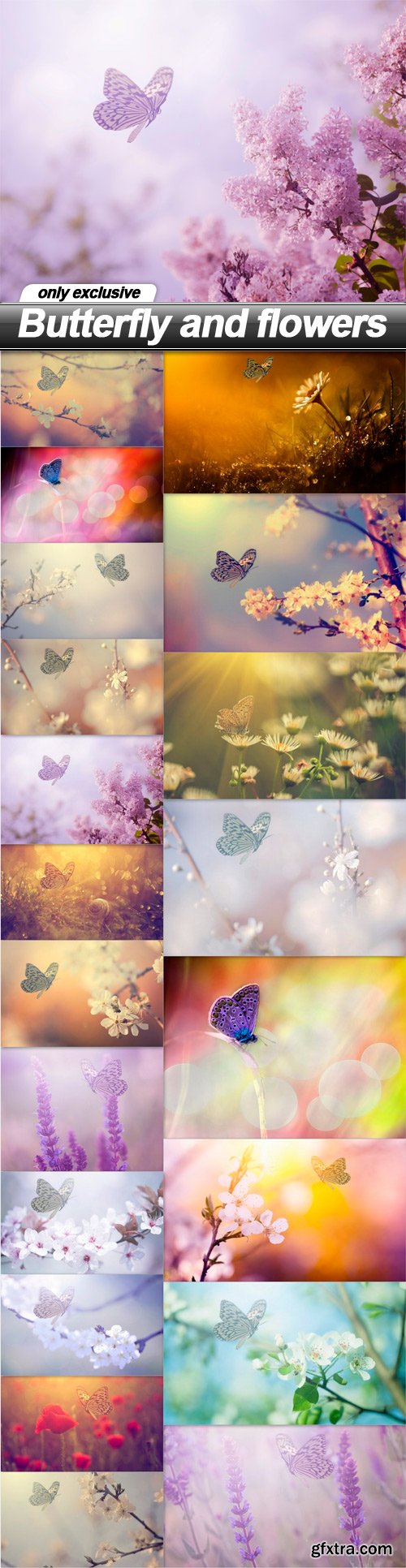 Butterfly and flowers - 20 UHQ JPEG