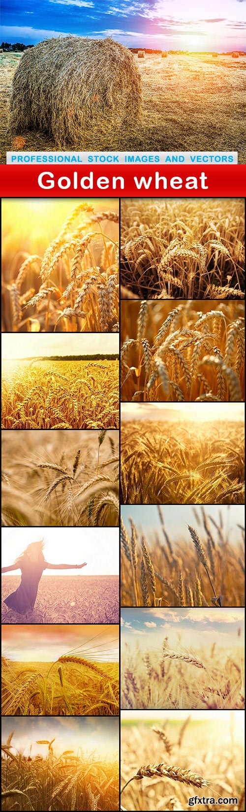 Golden wheat - 13 UHQ JPEG