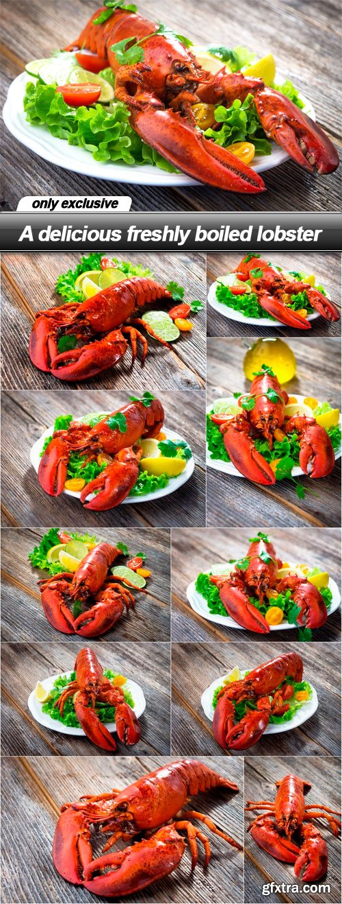 A delicious freshly boiled lobster - 10 UHQ JPEG