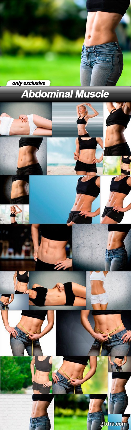 Abdominal Muscle - 25 UHQ JPEG