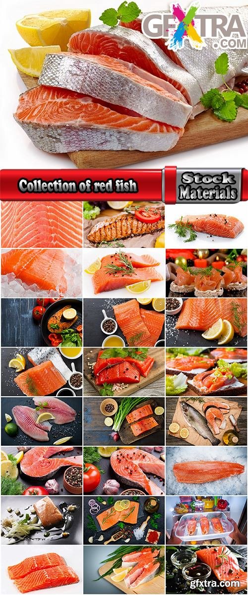 Collection of red fish fillet steak meat 25 HQ Jpeg