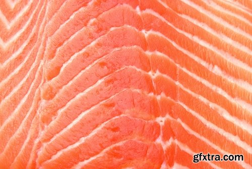 Collection of red fish fillet steak meat 25 HQ Jpeg