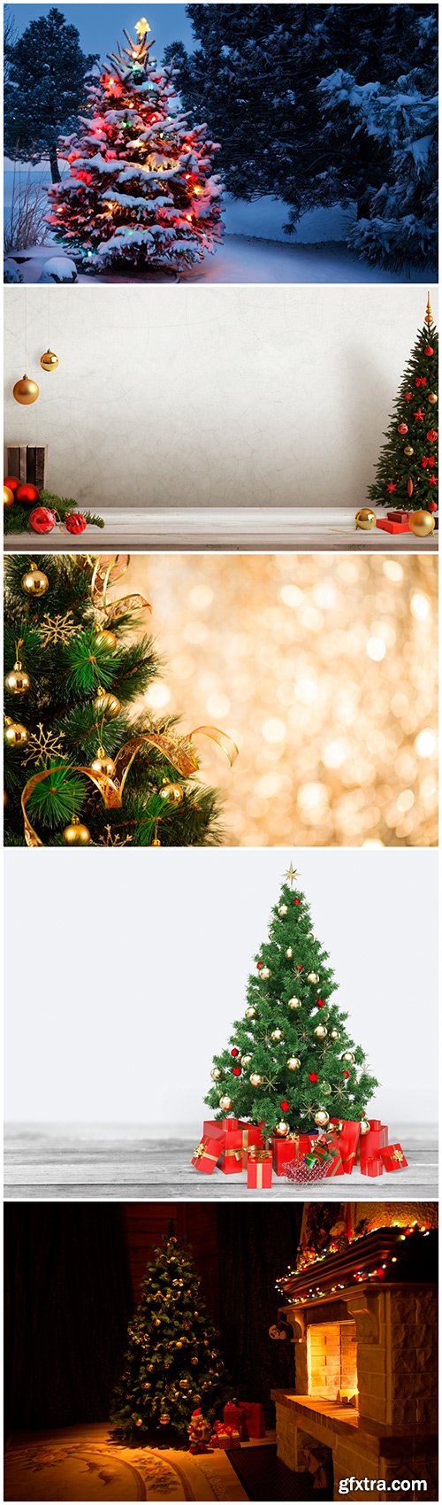 Fir-tree - 5UHQ JPEG