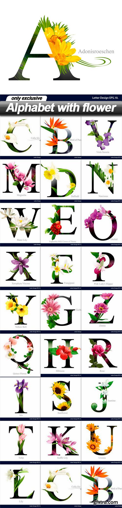 Alphabet with flower - 26 EPS