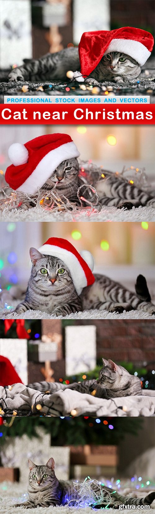 Cat near Christmas - 5 UHQ JPEG