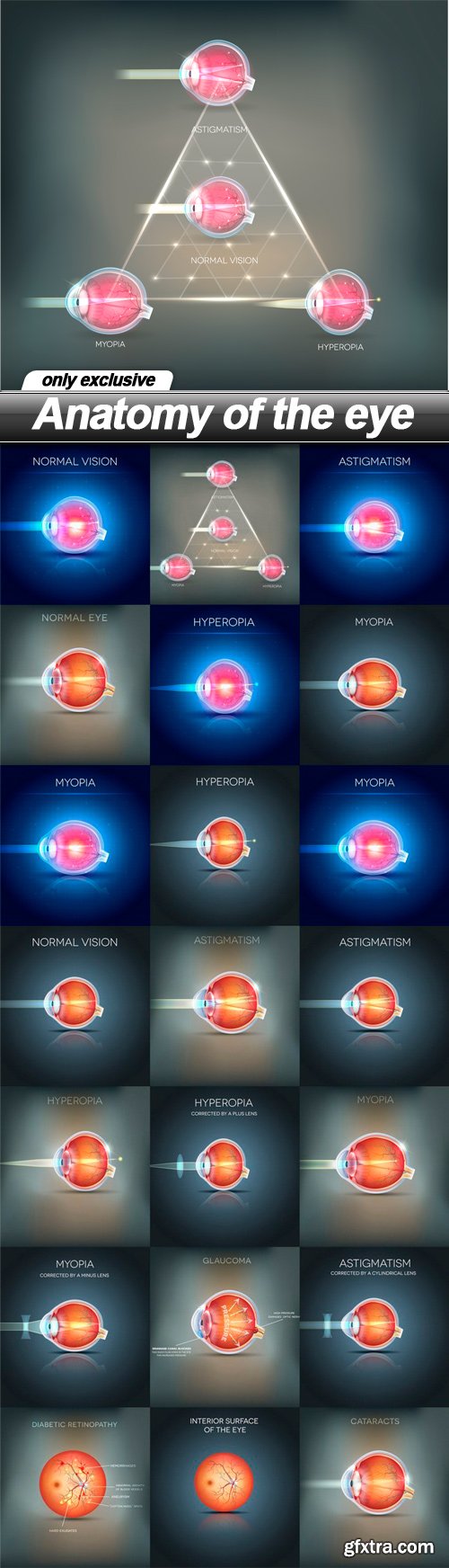 Anatomy of the eye - 20 EPS