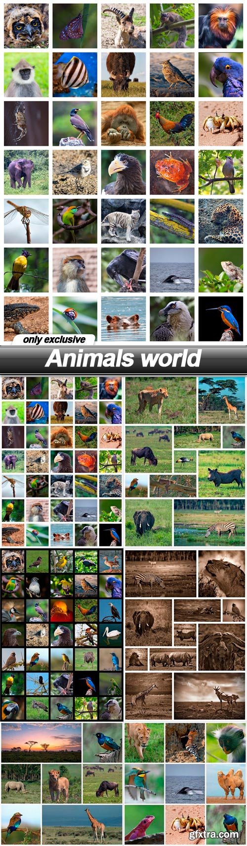 Animals world - 6 UHQ JPEG