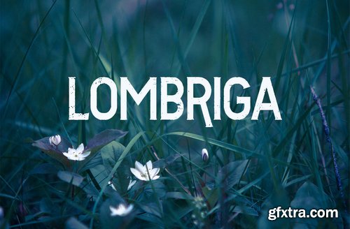 Vtks Lombriga font