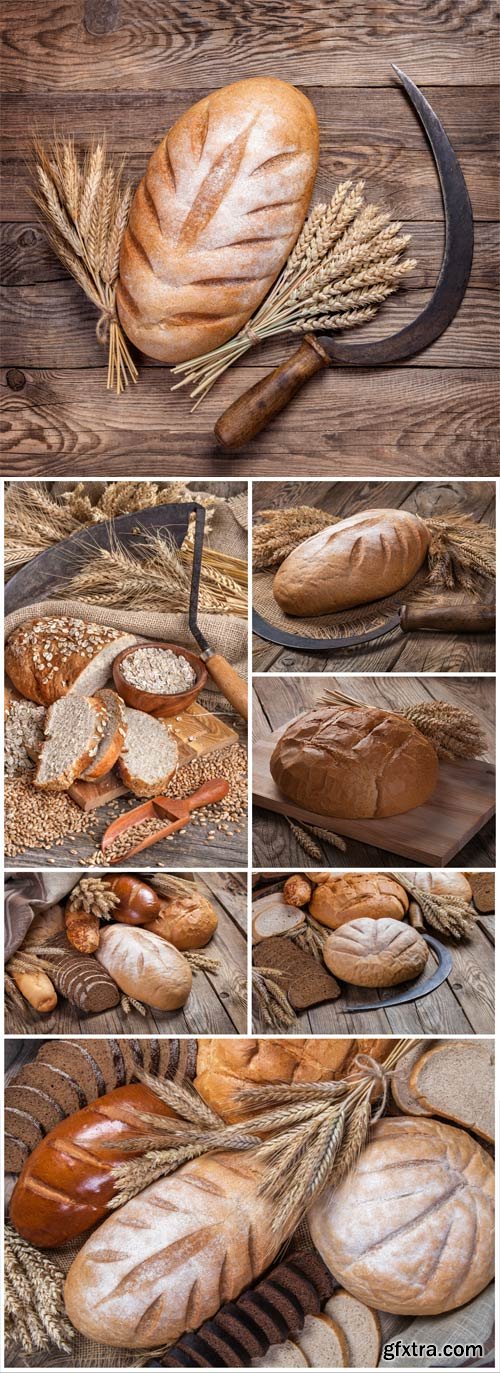 Fresh bread and spikelets on wooden background